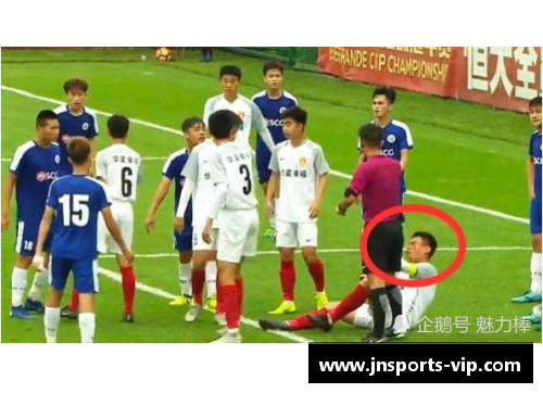 奥特佳球员：超越赛场的巅峰之路