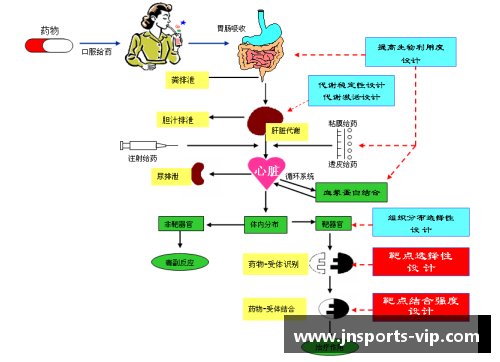 青少年体育俱乐部管理架构设计及优化方案